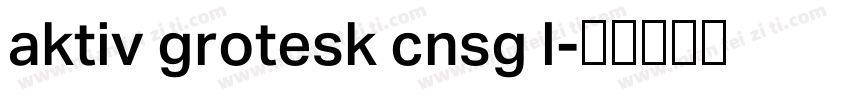 aktiv grotesk cnsg l字体转换